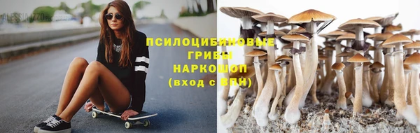 соль ск Абдулино