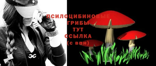 соль ск Абдулино