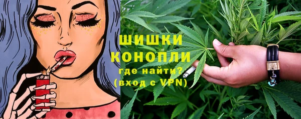 амф Осташков
