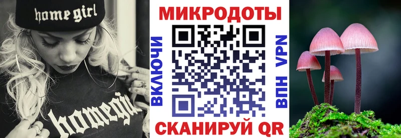 кракен как войти  Сысерть  Псилоцибиновые грибы Psilocybine cubensis 